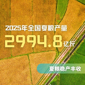 农业上半年丰收“新”景象